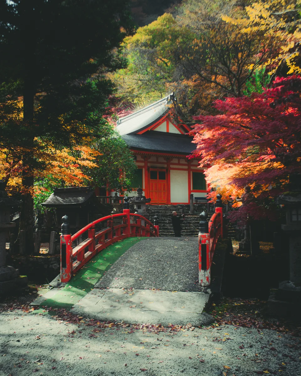 Templo rojo y arces en otoño, Japón