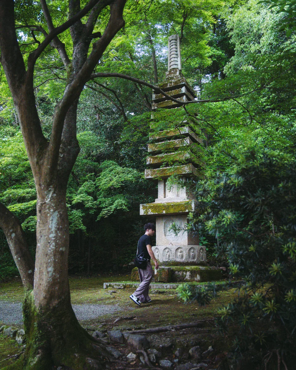 Pagoda entre el bosque
