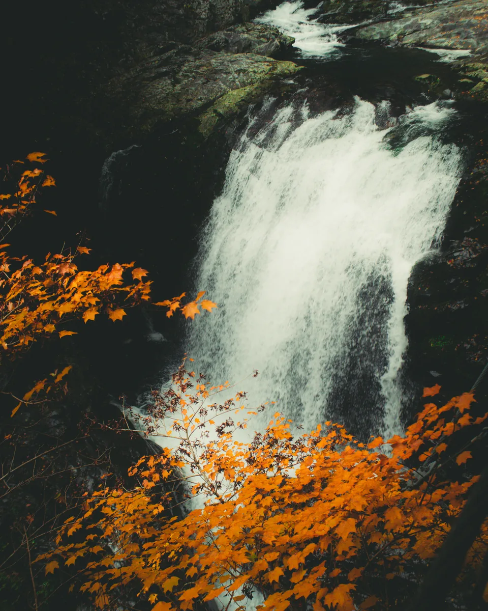 Cascada entre hojas de otoño