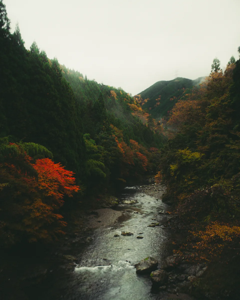 Garganta de río entre el otoño