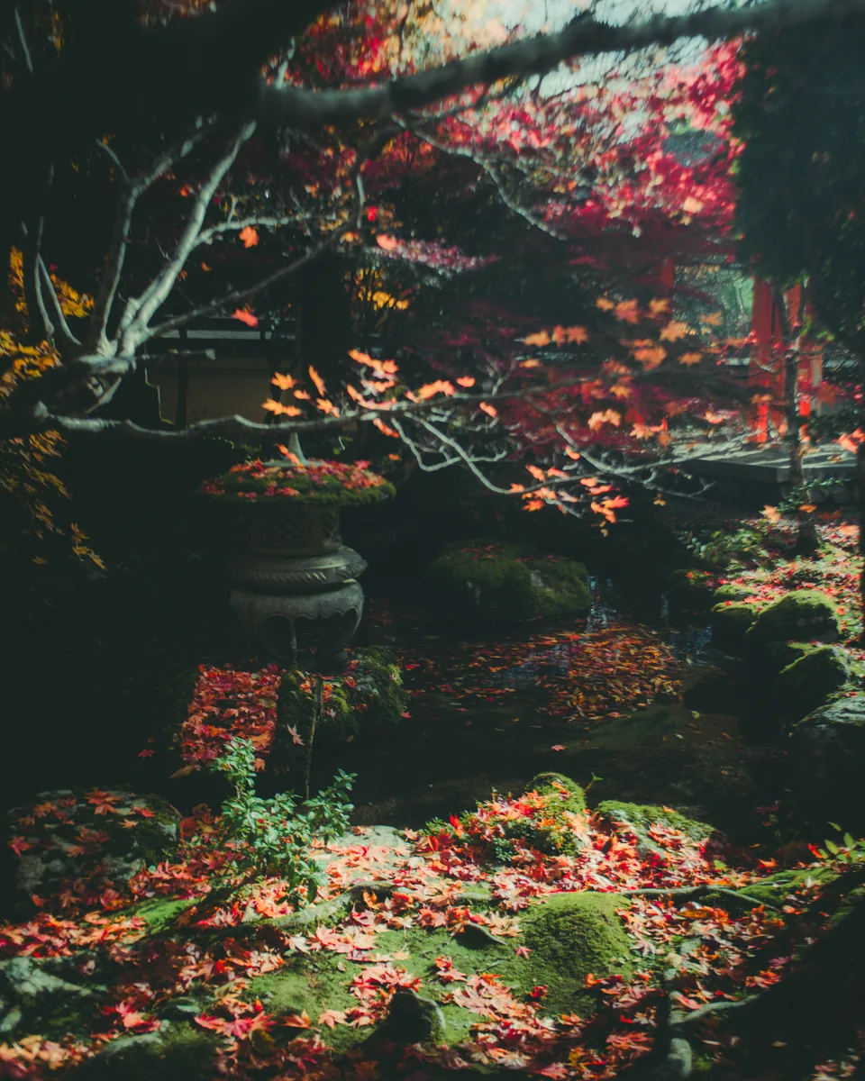 Jardín cubierto de hojas de otoño